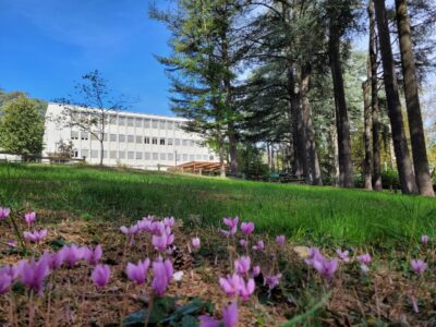 Collège NDE - côté parc ok